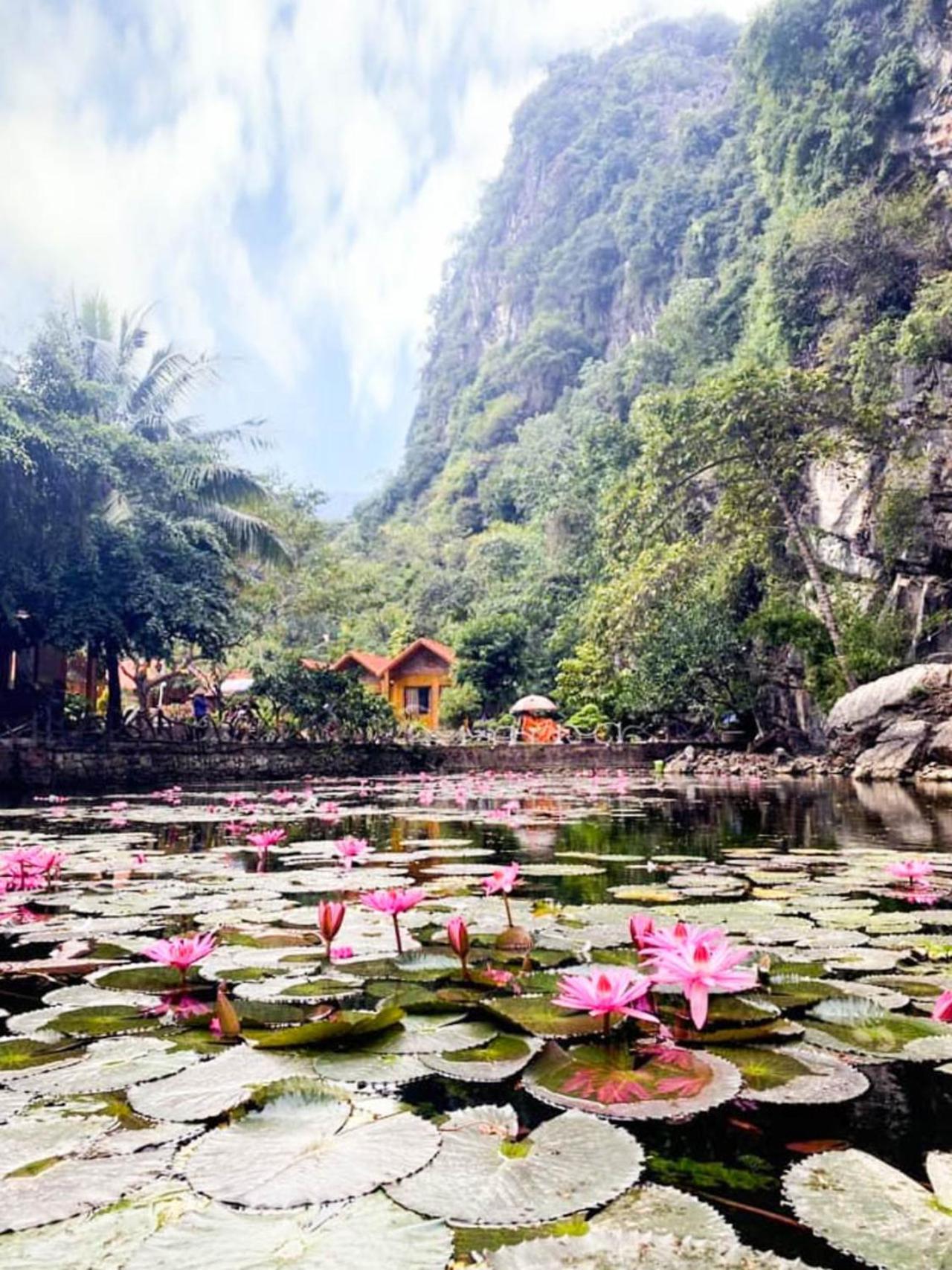 Tam Coc Rocky Bungalow Ninh Binh Eksteriør bilde